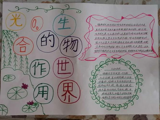 科尔沁区实验初中七年九班生物第五期手抄报《光合作用》