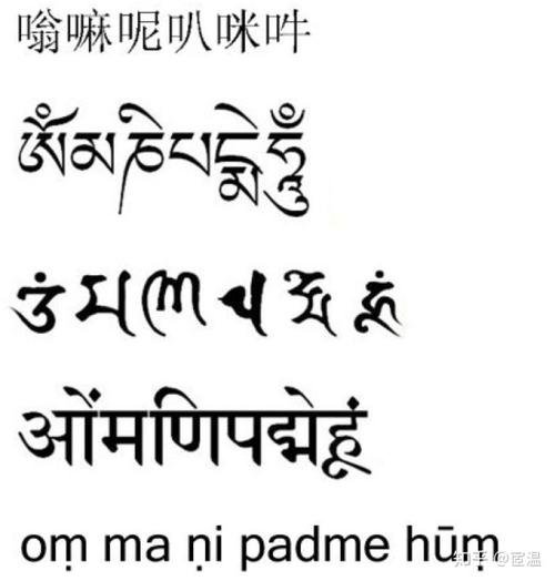 瑜伽界的国际通用语言梵文开课啦