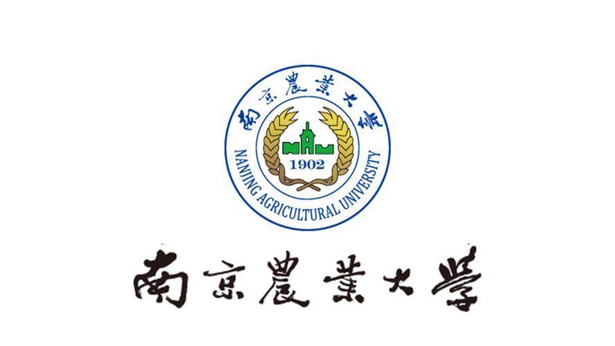 南京高校毕业照曝光!