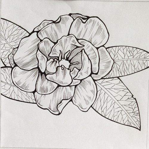 装饰基础-花卉变形|平面|图案|批发厂 - 原创作品 - 站酷 (zcool)