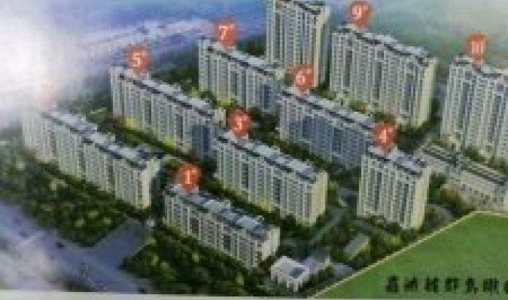 丰南区惠丰湖 嘉诚华府 3室2厅2卫 123平米