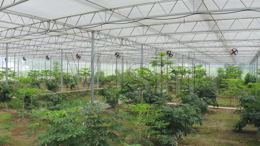 航拍现代化农业蔬菜大棚智慧农业_3840x2160_高清视频素材下载(编号