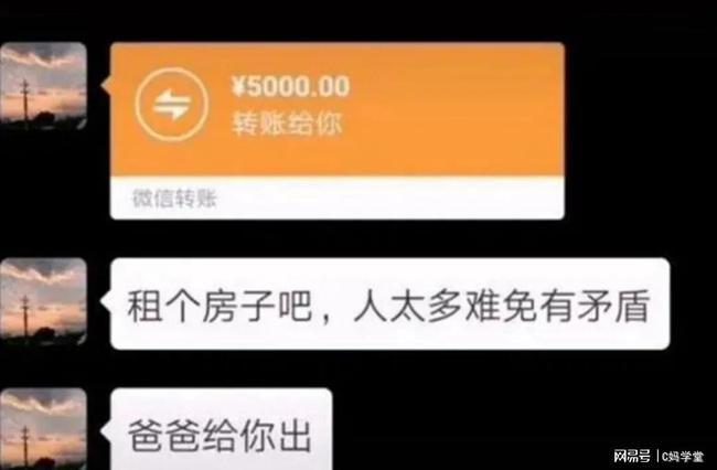 我的天呐,买生活用品竟然都转账五千,前前后后已经转账一万元了,感觉