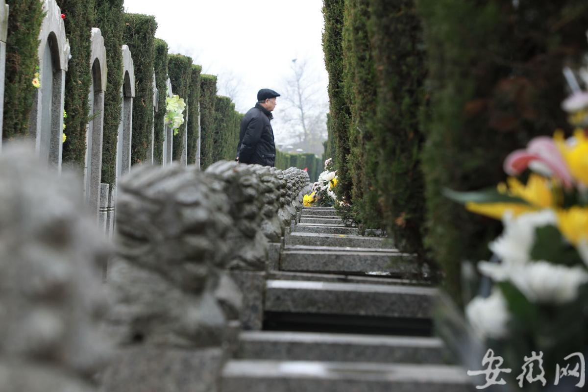 鲜花寄先人,无烟冬至更文明 合肥小蜀山迎来祭扫高峰