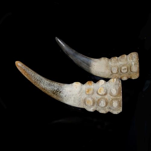 佚名 射天角一对