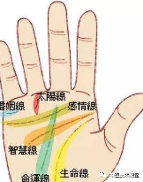 头脑线:又称智慧线,起点与生命线在一起,是走在手掌中间止于小鱼际上
