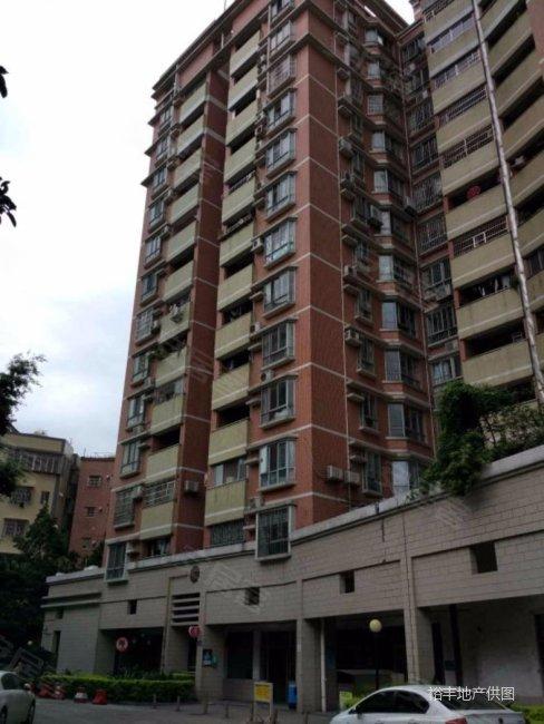 天雅居 电梯大四房 市区置换 位 可以天河 何必郊区