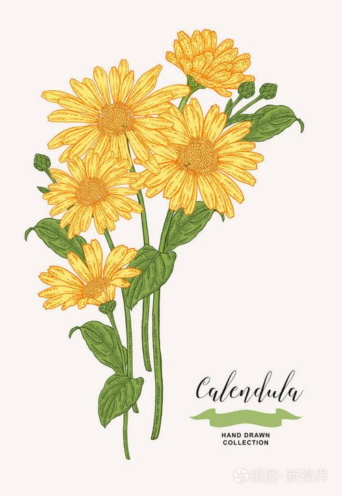 医疗设备准备好了. 手绘矢量插图.