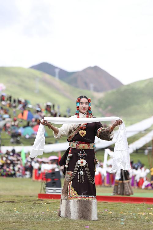 载歌载舞高原情