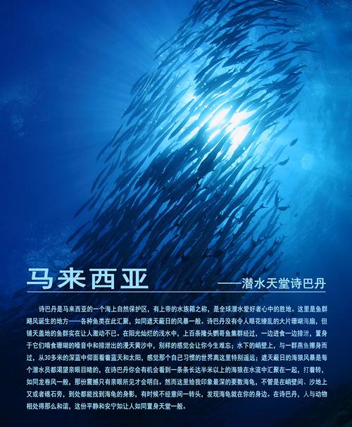 《海底两万里——海洋动物摄影展》在国家动物博物馆开展