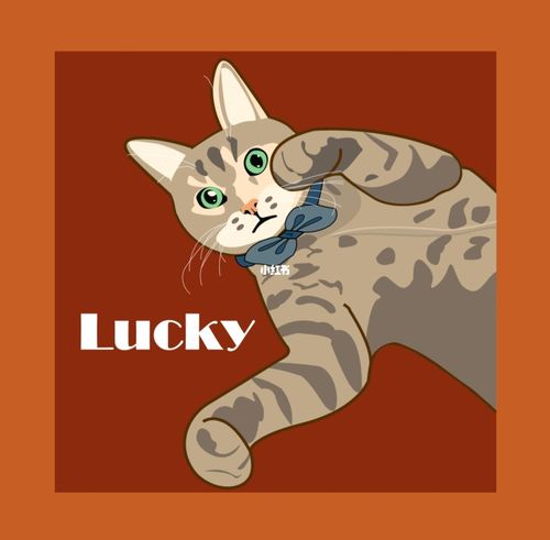 插画分享|大洋彼岸的流浪猫7815辣壳儿_插画_流浪