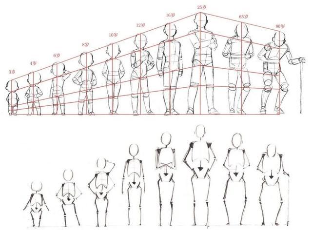 插画入门画人体比例的几个重要技巧