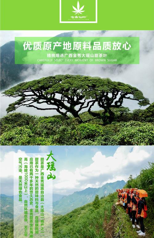 广西金秀大瑶山野生甜茶 天然无糖甜茶 130g*2罐 铁罐装_7折现价300元