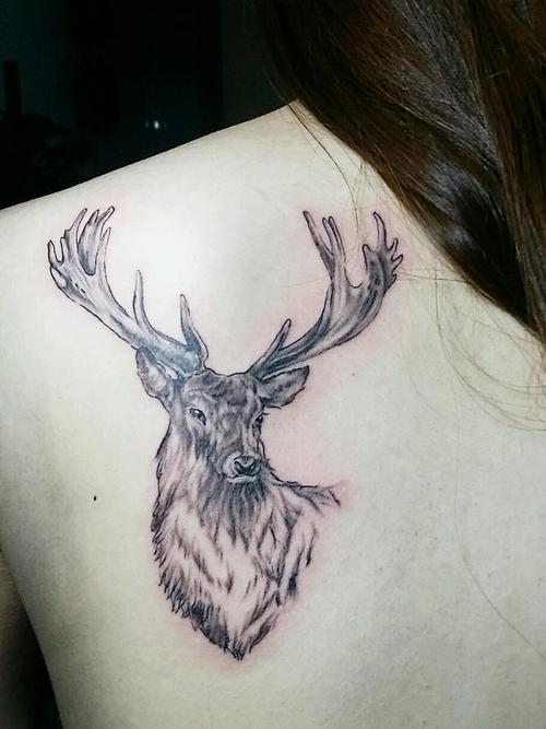 麋鹿纹身_纹身图案手稿图片_马小天的纹身作品集