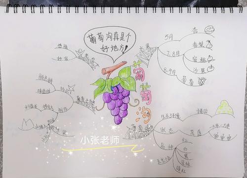 南二小二年级六班《葡萄沟》思维导图作业展示
