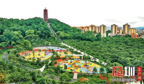 红花山公园新改造后增添了儿童乐园.