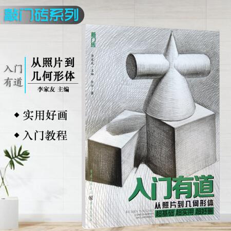 二手九九新敲门砖入门有道从照片到几何形体素描基础教程铅笔画从入门