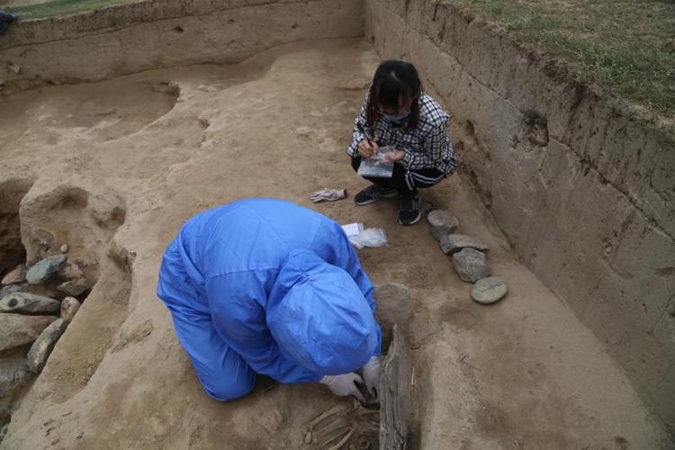 教授讲专业丨从古代走向未来的考古学