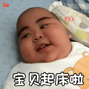 小胖子表情包:像不像你粘人的对象