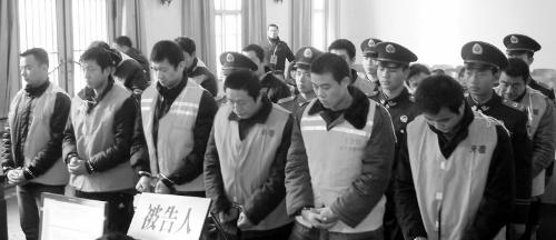 "杨氏兄弟"等分别领刑