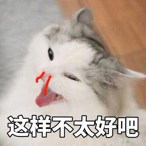 有哪些可爱的表情包?