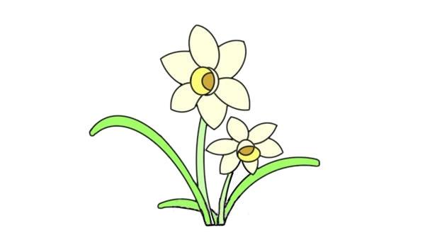 水仙花简笔画怎么画水仙花简笔画步骤教程