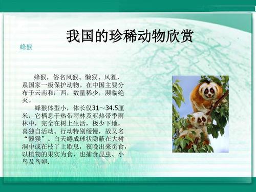 4《我国的珍稀动物》课件1(冀教版七年级上)ppt