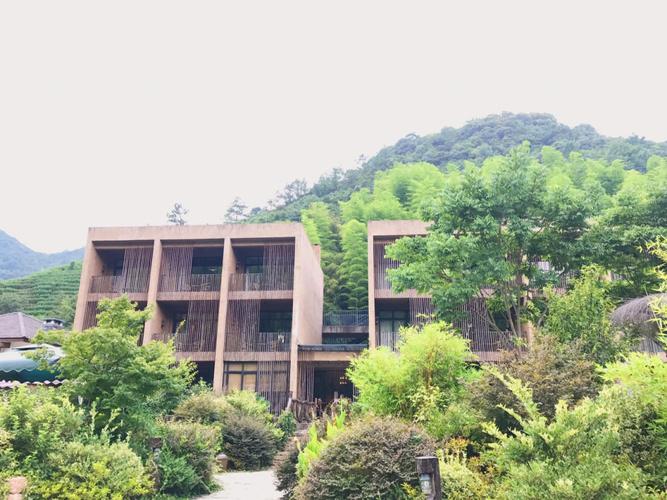 莫干山民宿 遥远的山