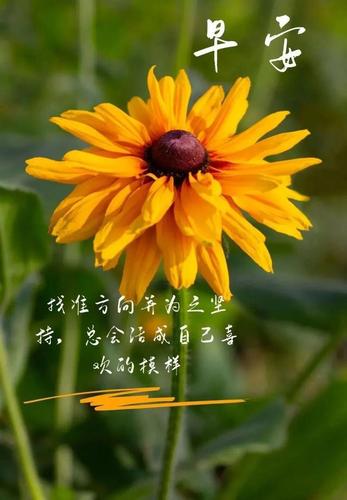 05.26」早安心语,正能量最新奋斗语录,阳光早上好问候语