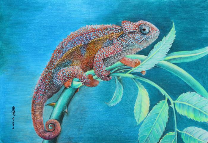 小灰的彩铅《变色龙》.以绚烂的色彩收尾缤纷的寒假!