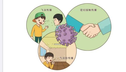 写美篇(二)新型冠状病毒感染的肺炎的传播途径: (1)直接传播:患者喷嚏