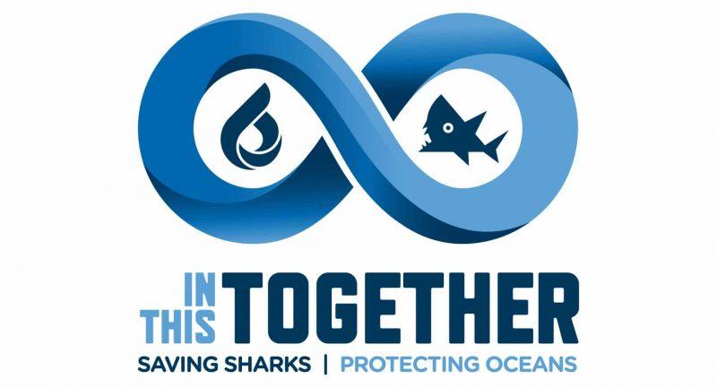 fancy the bahamas for a tenner?