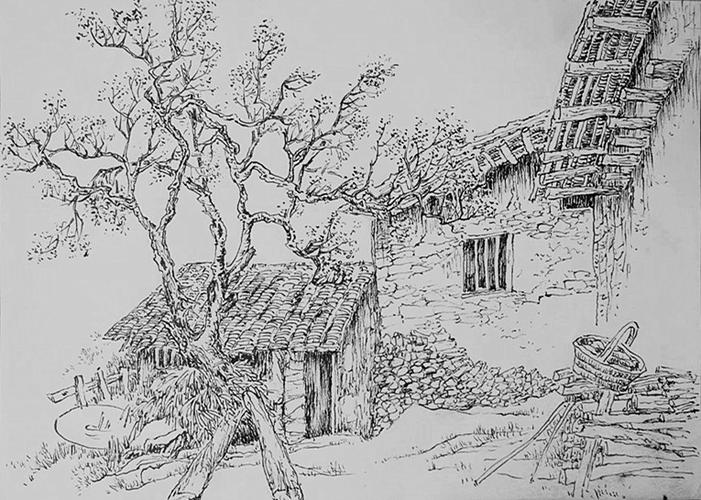 乡情难忘——乡村写生和钢笔画