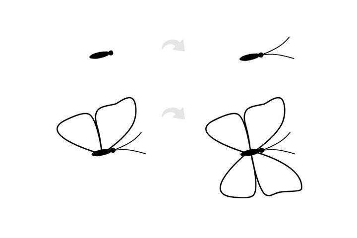 蓝色花蝴蝶简笔画步骤画法教程