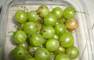 市场上一斤买14块5, 酸酸甜甜的, 果实营养丰富, 好吃又败火!