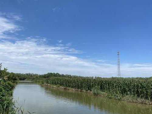 河畅水清鱼美岸绿 天津宁河"乡村画卷"眼前展