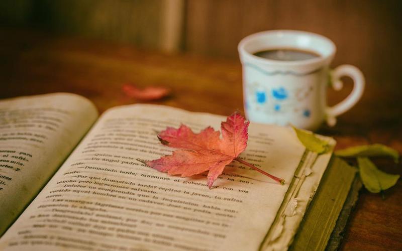 清新文艺书本创意图片桌面壁纸