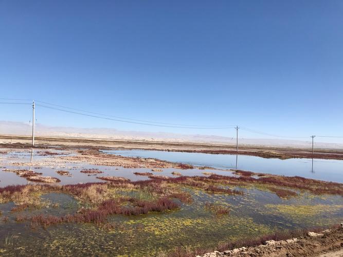 去往艾肯湖的路两边都是湿地