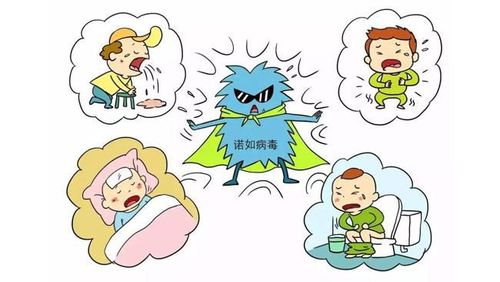 感染诺如病毒有何症状?