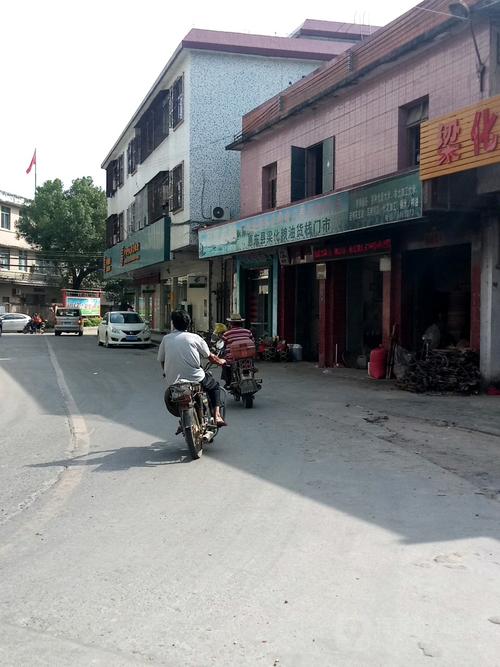 广东省惠州市国营惠东梁化林场