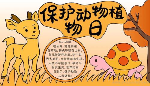 有关保护动物植物日的手抄报怎么画保护动物植物日手抄报图片
