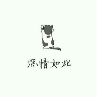 浪够了,就回来吧,外面风大我带你回家