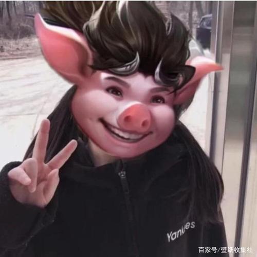 猪八戒