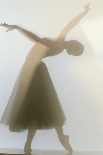 我是舞者,是最美的天鹅