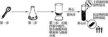 物质的探索过程知识点 "格里菲斯和艾弗里的肺炎双球菌转化实验证实