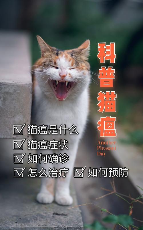 科普猫瘟猫瘟怎么治