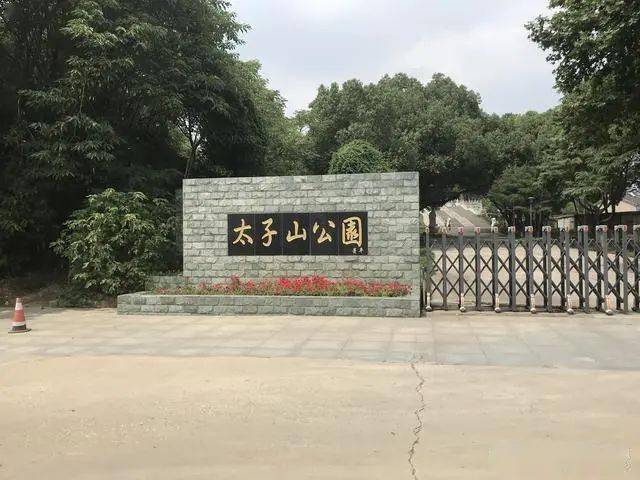 在南京的江北新区大厂的太子山公园里面,长芦寺在这里获得了第十次