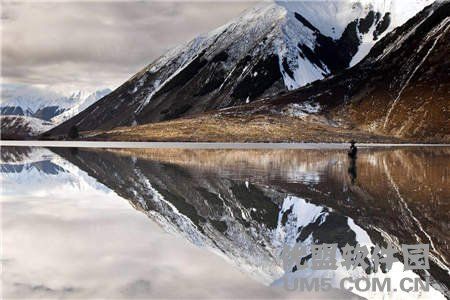 王亮(王亮)李晨李美诗无弹窗免费阅读