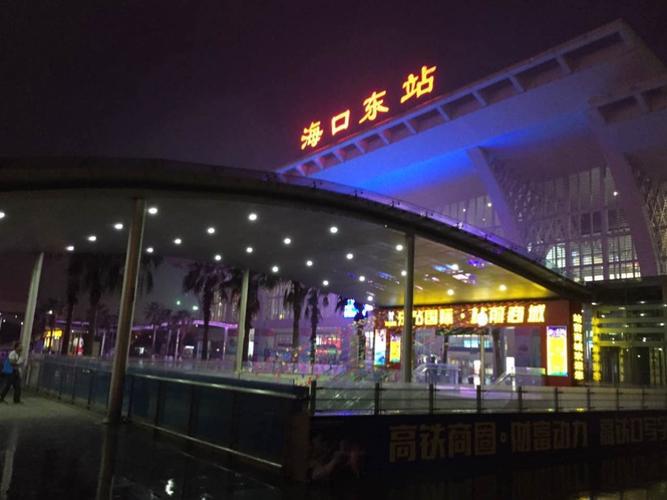 11月17日晚——市林业局服务中心在海口火车东站开展"双创"夜间督导