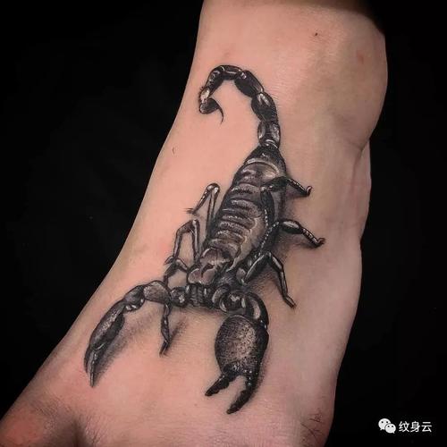 分享:tattoo|五毒之首 蝎子纹身素材